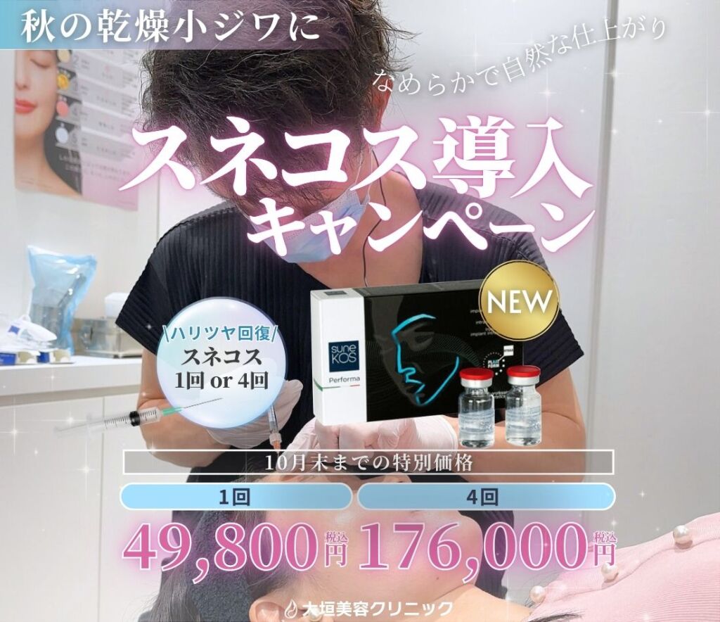 スネコスパフォルマで小じわに全力アプローチ