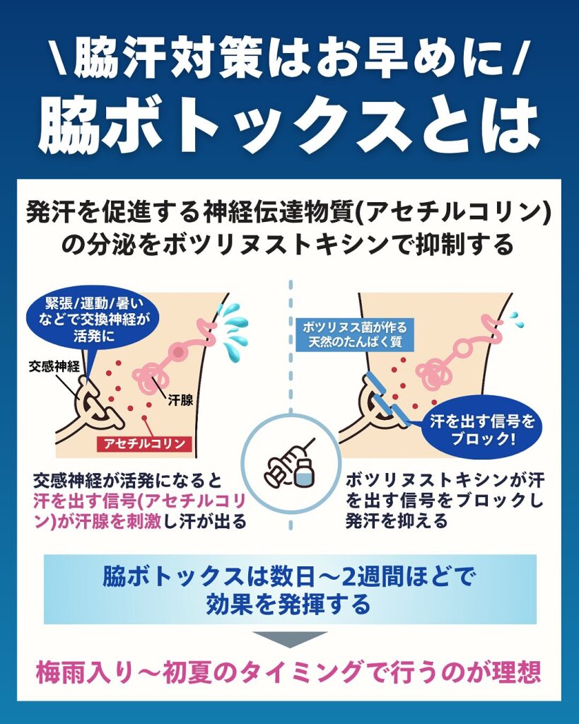 脇ボトックス｜岐阜・大垣市の美容皮膚科・脱毛の大垣美容クリニック